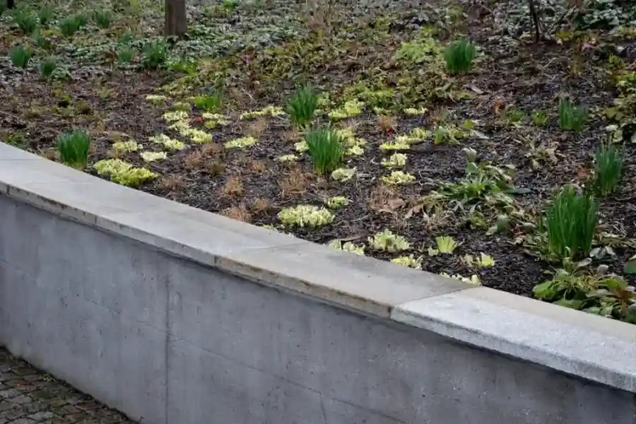 Expert Retaining Wall Installation Delano, CA Expert Retaining Wall Installation Delano, CA